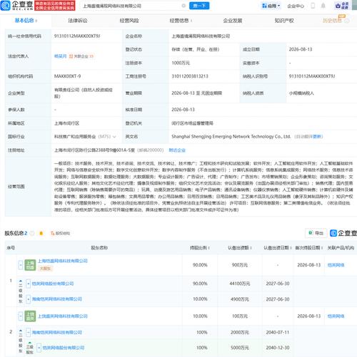 人工智能初创企业杨吴月的资本布局与发展路径分析